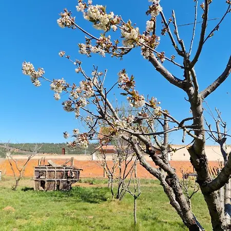Casa Rural Las Aguedas *