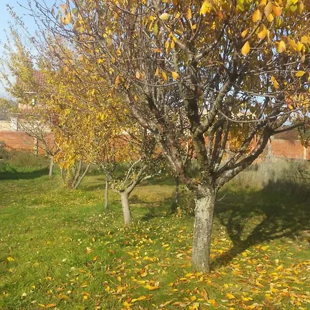 Country house Casa Rural Las Aguedas *